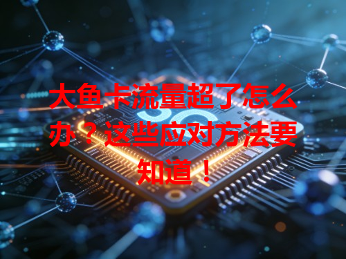 大鱼卡流量超了怎么办？这些应对方法要知道！