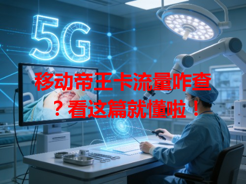 移动帝王卡流量咋查？看这篇就懂啦！