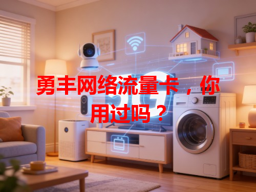 勇丰网络流量卡，你用过吗？