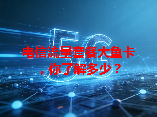 电信流量套餐大鱼卡，你了解多少？