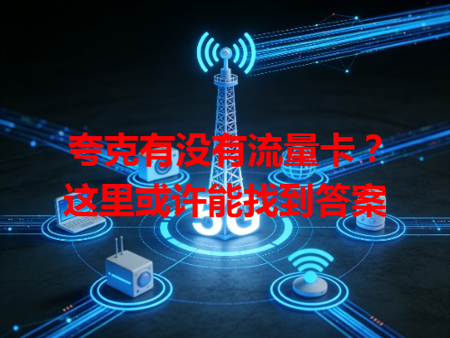 夸克有没有流量卡？这里或许能找到答案