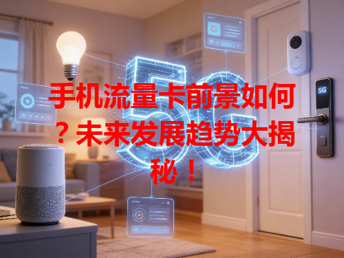 手机流量卡前景如何？未来发展趋势大揭秘！
