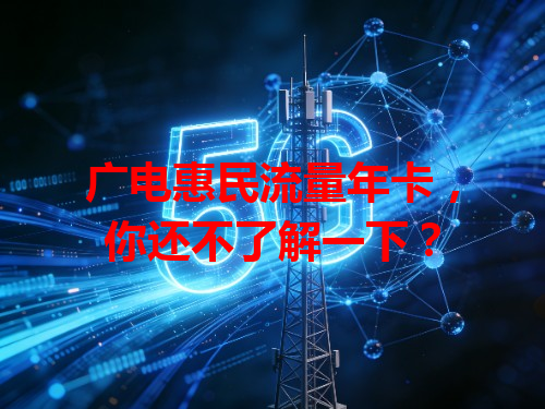 广电惠民流量年卡，你还不了解一下？
