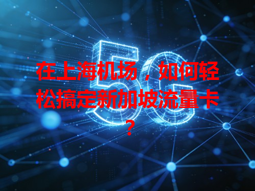 在上海机场，如何轻松搞定新加坡流量卡？