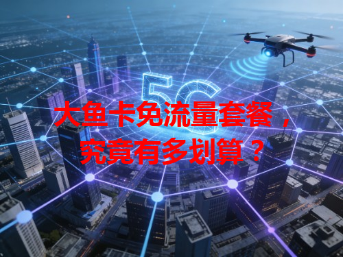 大鱼卡免流量套餐，究竟有多划算？