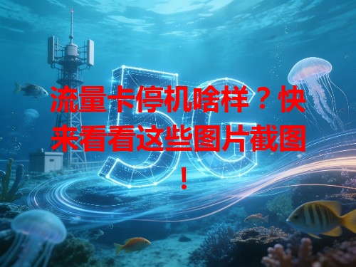 流量卡停机啥样？快来看看这些图片截图！
