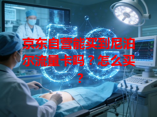 京东自营能买到尼泊尔流量卡吗？怎么买？