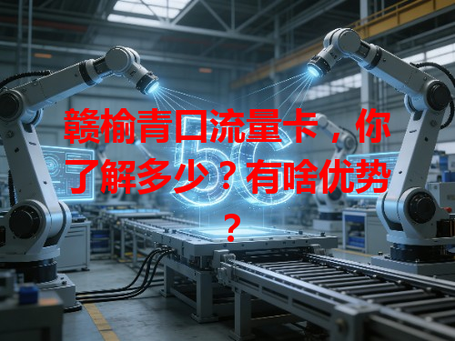 赣榆青口流量卡，你了解多少？有啥优势？