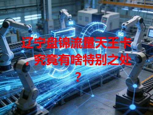 辽宁盘锦流量天王卡，究竟有啥特别之处？