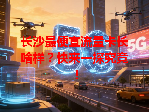长沙最便宜流量卡长啥样？快来一探究竟！