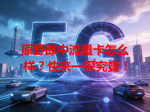 原野郎中流量卡怎么样？快来一探究竟！