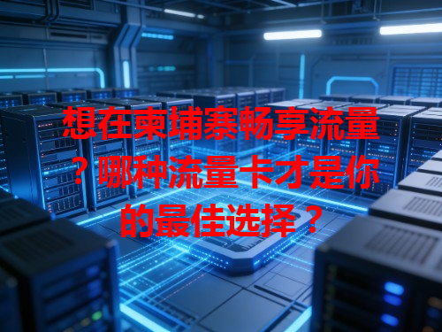 想在柬埔寨畅享流量？哪种流量卡才是你的最佳选择？
