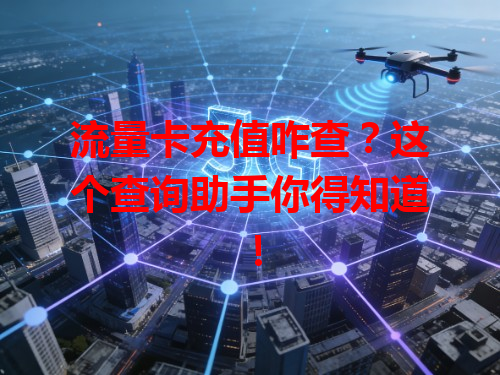流量卡充值咋查？这个查询助手你得知道！