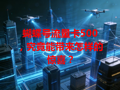 蝴蝶号流量卡500，究竟能带来怎样的惊喜？