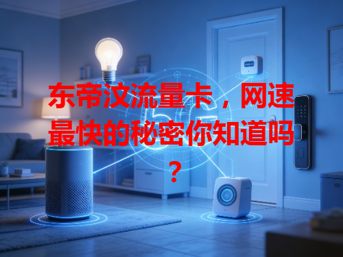 东帝汶流量卡，网速最快的秘密你知道吗？