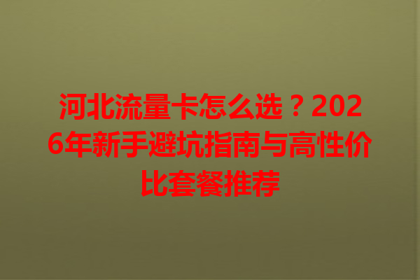 河北流量卡怎么选？2026年新手避坑指南与高性价比套餐推荐