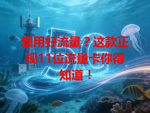 想用好流量？这款正规11位流量卡你得知道！