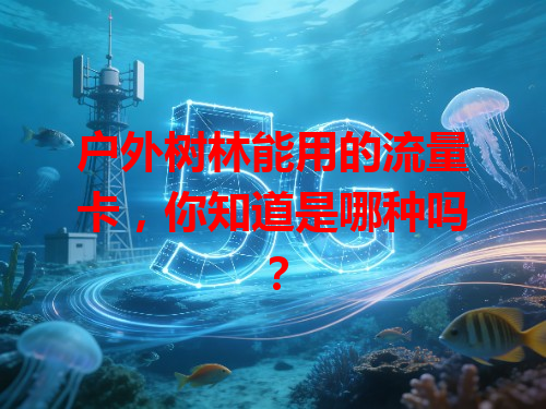 户外树林能用的流量卡，你知道是哪种吗？