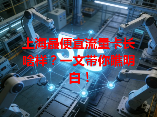 上海最便宜流量卡长啥样？一文带你瞧明白！
