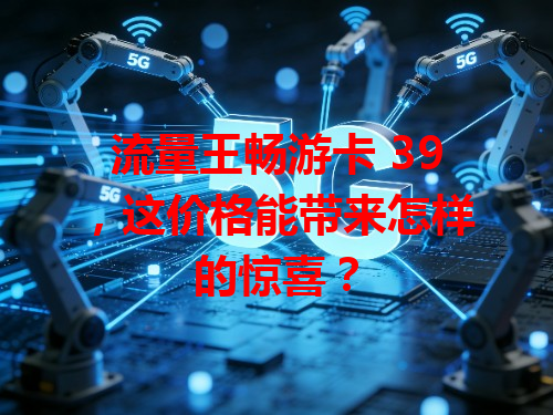 流量王畅游卡 39，这价格能带来怎样的惊喜？