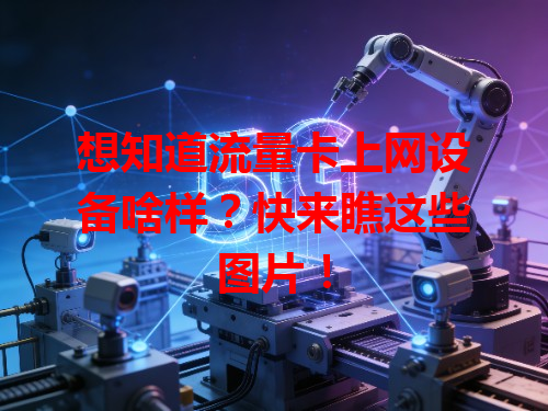 想知道流量卡上网设备啥样？快来瞧这些图片！