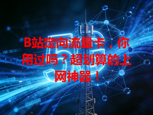 B站定向流量卡，你用过吗？超划算的上网神器！