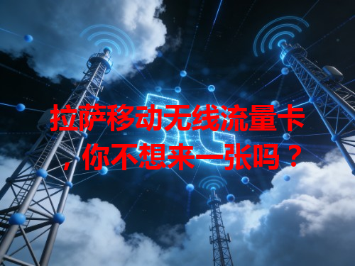 拉萨移动无线流量卡，你不想来一张吗？