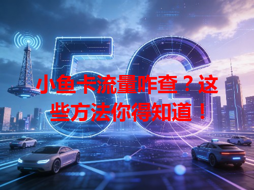 小鱼卡流量咋查？这些方法你得知道！