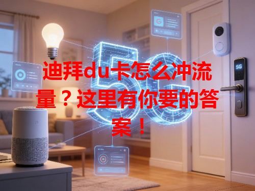 迪拜du卡怎么冲流量？这里有你要的答案！