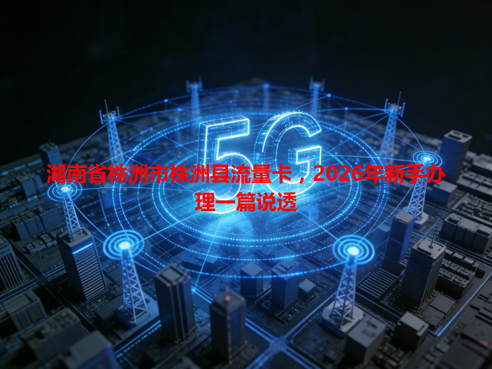 湖南省株洲市株洲县流量卡，2026年新手办理一篇说透