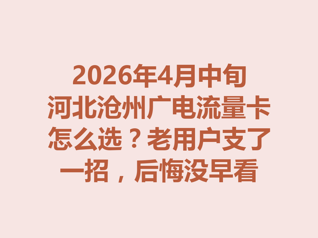 2026年4月中旬河北沧州广电流量卡怎么选?老用户支了一招,后悔没早看