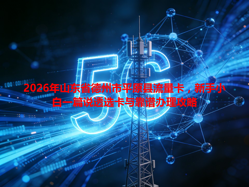 2026年山东省德州市平原县流量卡，新手小白一篇说透选卡与靠谱办理攻略