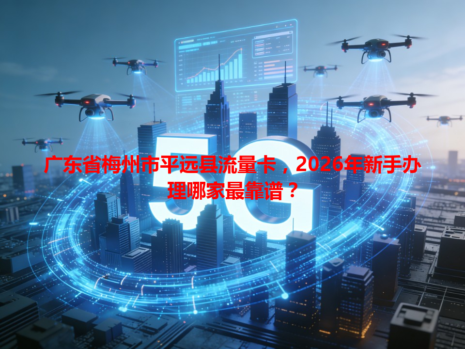 广东省梅州市平远县流量卡，2026年新手办理哪家最靠谱？