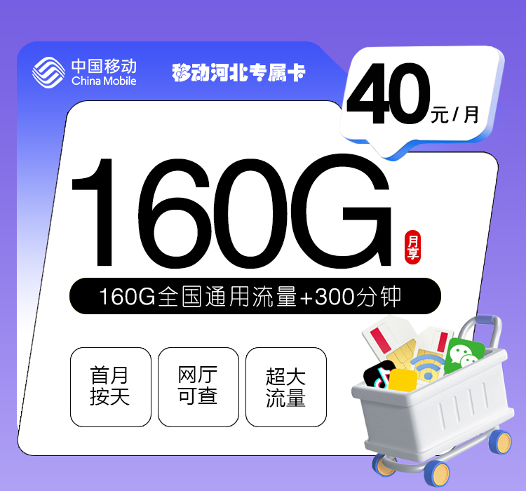 移动河北专属卡③40元/月160G流量+300分钟通话-套餐说明