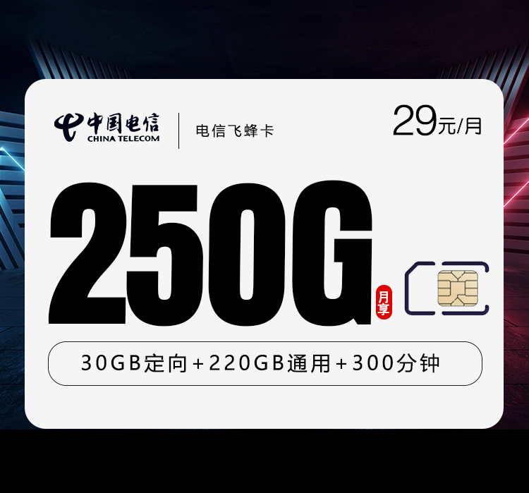 电信飞蜂卡②29元/月250G流量+300分钟通话-套餐说明