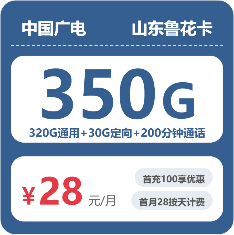 广电山东鲁花卡②28元/月350G流量+200分钟通话-套餐明细