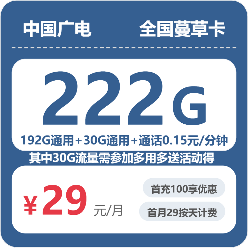 广电全国蔓草卡29元/月222G流量+通话0.15元/分钟-套餐信息