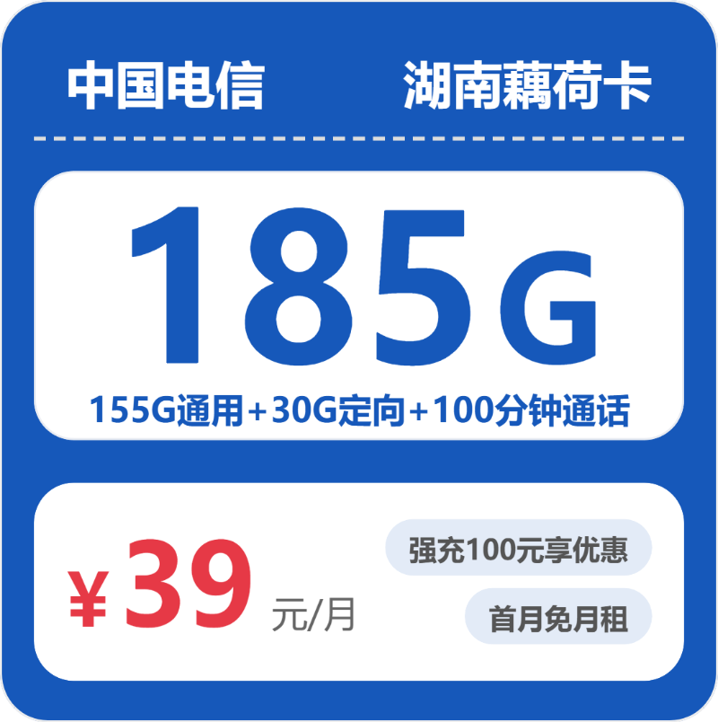电信湖南藕荷卡③39元/月30G流量+100分钟通话-套餐说明