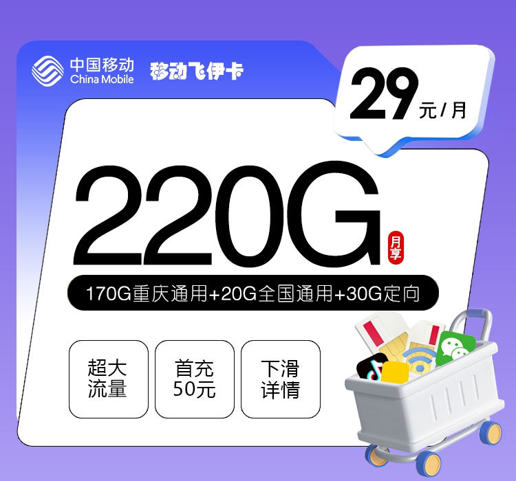 移动飞伊卡29元/月220G流量+通话0.1元/分钟-套餐说明