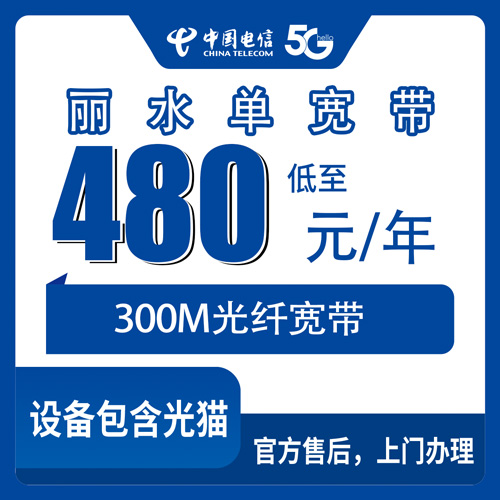 2026年10月丽水市电信单宽带怎么报装？