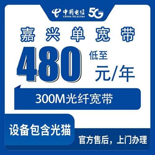 2026年10月下旬海宁市装电信300M单宽带480元包年，硖石许村长安这些乡镇街道到底能不能装