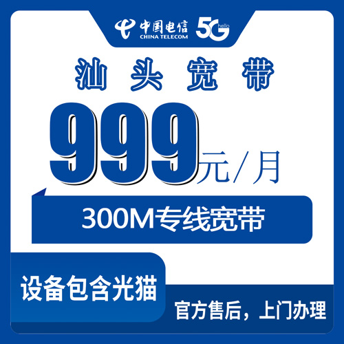 2026年10月下旬广东省汕头南澳县电信融合宽带999元固定IP专线300M，到底哪些店真的用得上